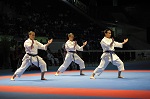 La Squadra Nazionale si prepara per gli “Internazionali Open di Parigi” della WKF Premier League 2012 