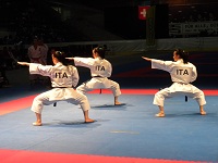 /immagini/Karate/2012/team_Open_Parigi.jpg