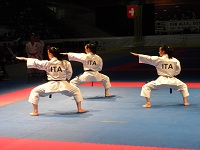 Agli Open di Parigi -WKF Premier League 2012, oro della squadra di kata femminile, due argenti Maniscalco e Vastola e tre  bronzi Busato, Giuliani e Maresca. 