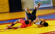 Campionati Juniores di Stile Libero e Greco Romana a Ostia