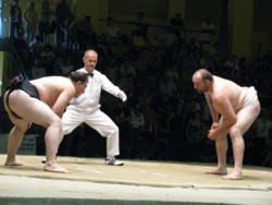 Appuntamento a Ostia con il Sumo