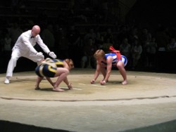 /immagini/Sumo/2008/Paola_Boz_3.jpg