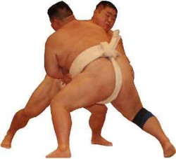 /immagini/Sumo/2008/sumo_03.jpg