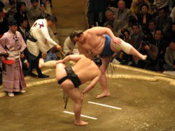 /immagini/Sumo/2010/Sumo_shiko.JPG