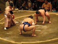 /immagini/Sumo/2010/a_sumo_x_sito.JPG