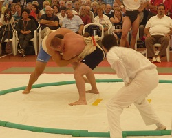 /immagini/Sumo/2012/Barcis_2012.JPG