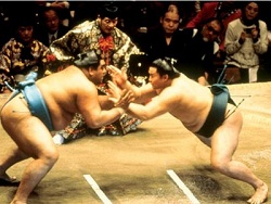 /immagini/Sumo/2012/sumo_04.jpg