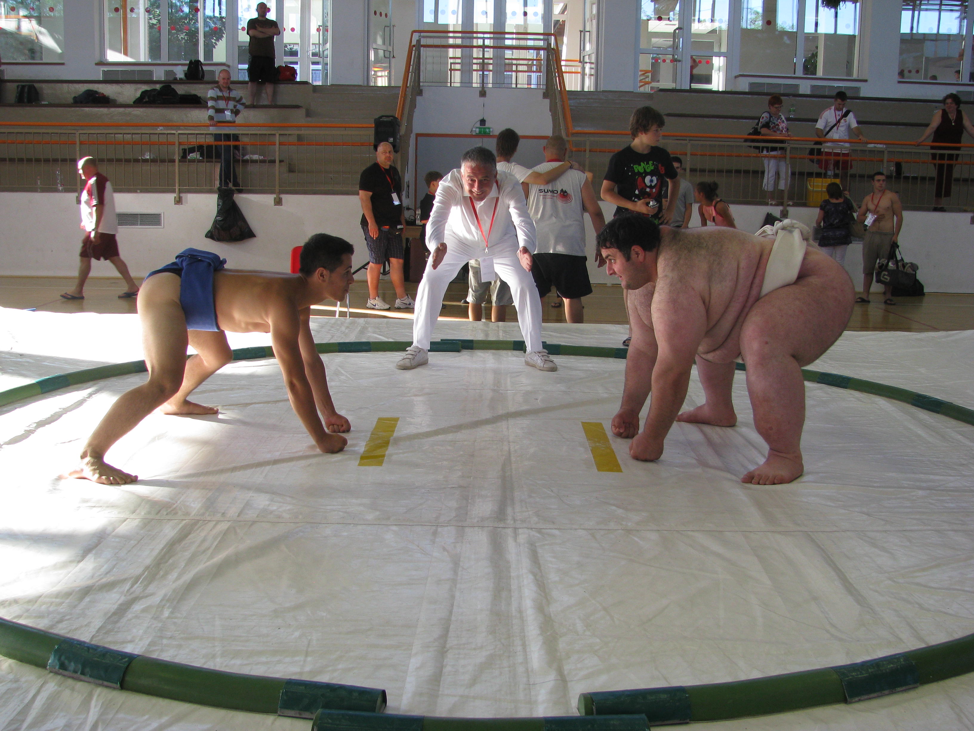 /immagini/Sumo/2015/Sumo.jpg