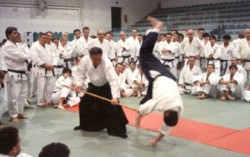 Lutto nel mondo dell’Aikido per la scomparsa di Fausto De Compadri