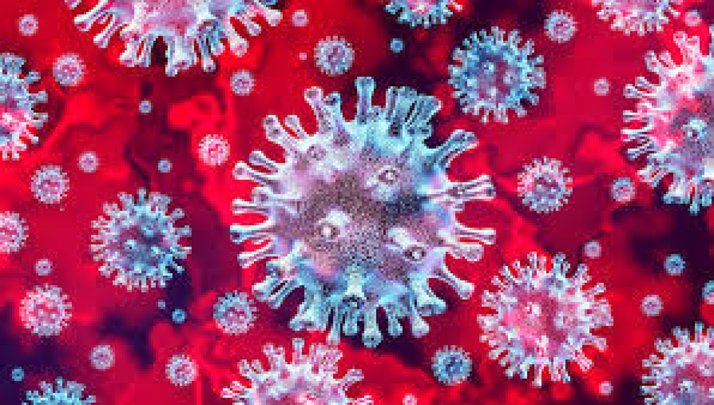 images/lazio/JUDO_IMG/medium/coronavirus.png