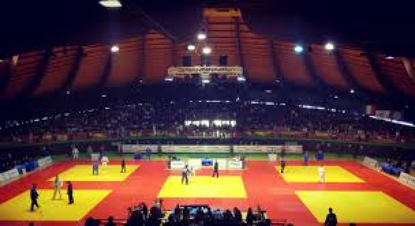 images/lazio/JUDO_IMG/medium/palapellicone.png