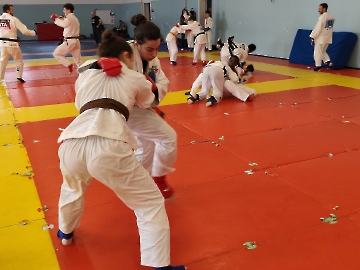 WhatsApp Image 2026-04-11 at 16.46.52 (2)