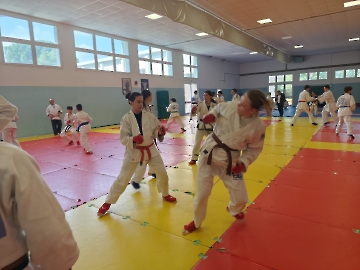 WhatsApp Image 2026-04-11 at 16.46.53