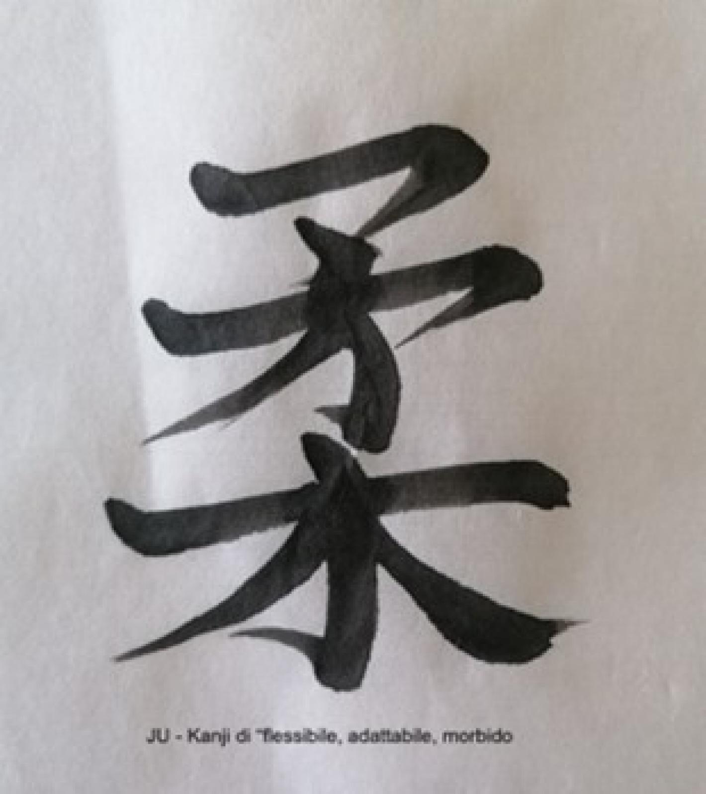 images/lombardia/JUDO/Articoli/medium/kanji2.jpg