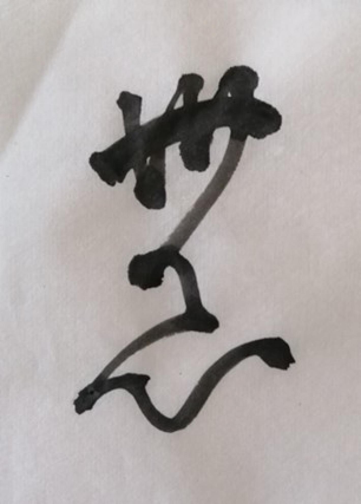 images/lombardia/JUDO/Articoli/medium/kanji4.jpg