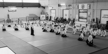 aikido 25.3.2018 (3)