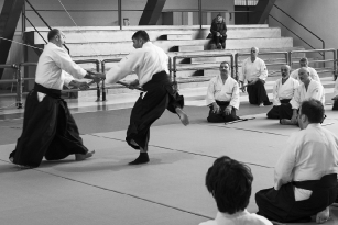 Aikido Seminario 25.03.2018 (16)