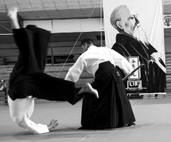 Aikido Seminario 25.03.2018 (29)