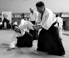 Aikido Seminario 25.03.2018 (45)