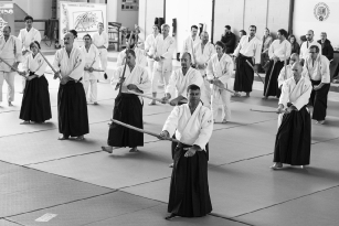 Aikido Seminario 25.03.2018 (9)