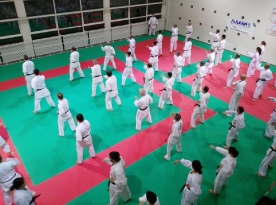 Aggiornamento Karate 2017