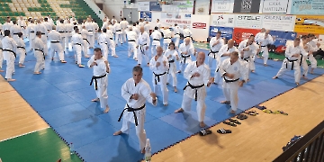 seminario di stile 40