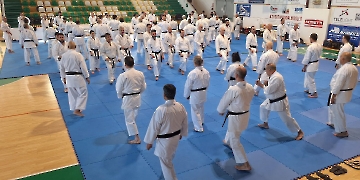 seminario di stile 41