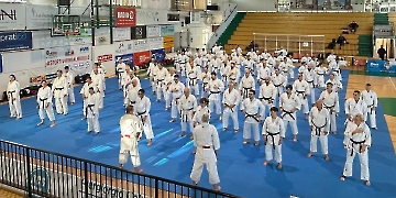 seminario di stile 43