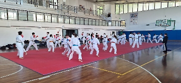 ultimo_ctr_2024_003