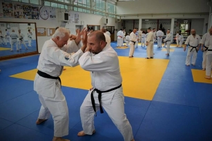 MGA seminario 15.04.2018 (9)