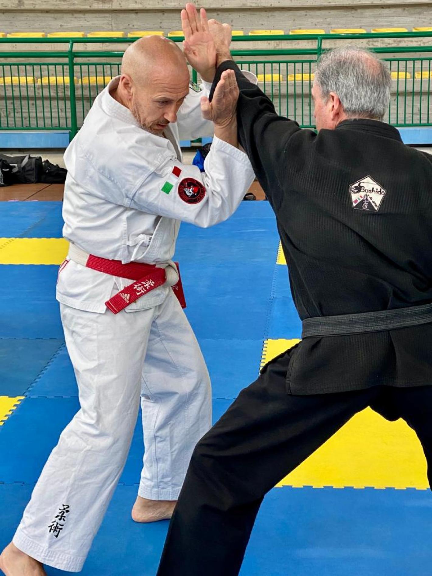 images/marche/Arti_Marziali/JuJitsu/medium/Stage_Interstile_23_Aprile_2023_6.jpeg