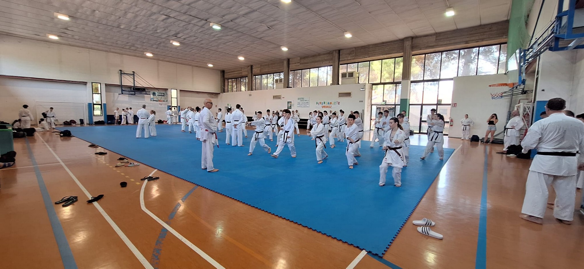 propedeutico dan 1