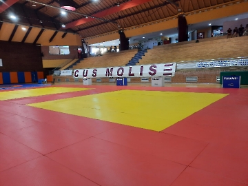 TATAMI JUDO