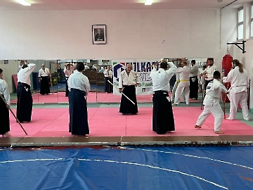 Seminar Aikido 28_02_26_11