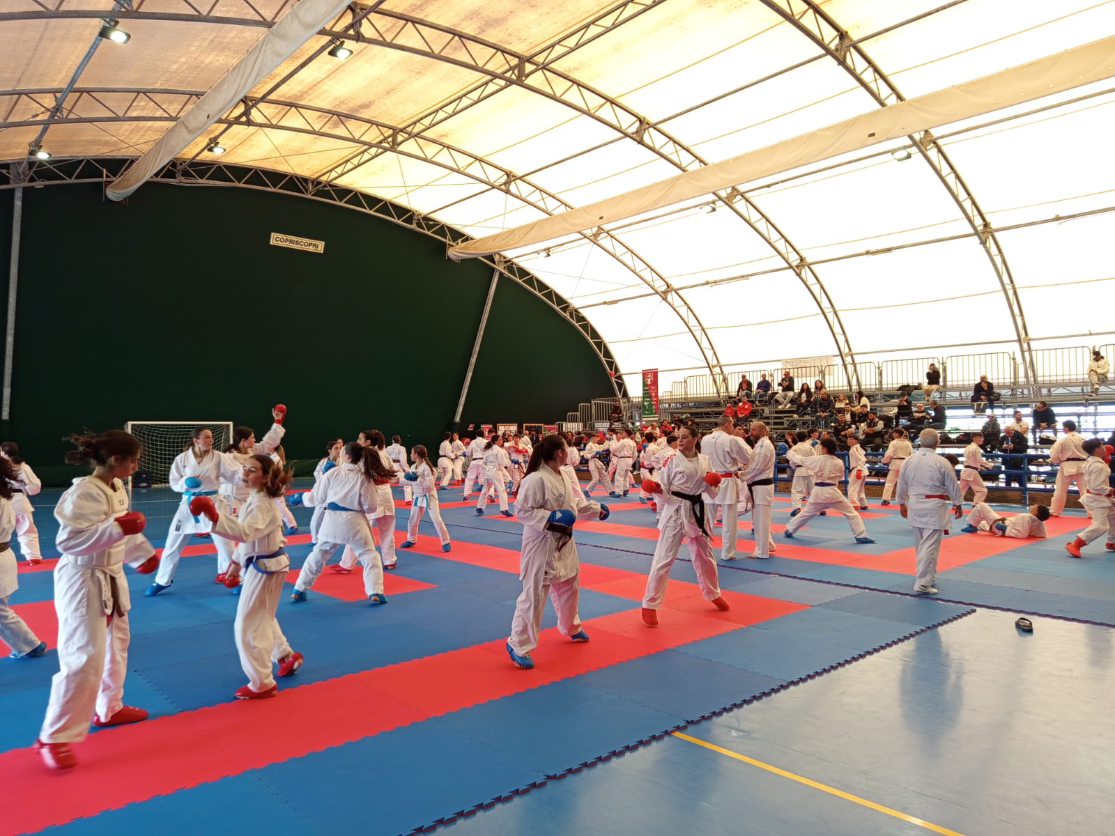 CTR Karate 1