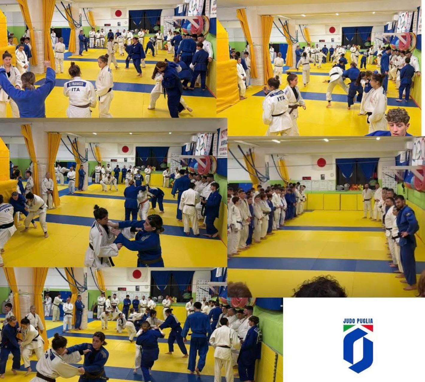 images/puglia/judo/CTR_e_agg_Judo/medium/IMG_2673.jpeg