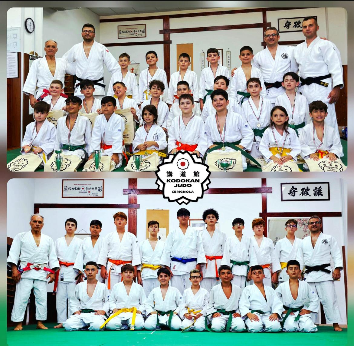 Saggi 7