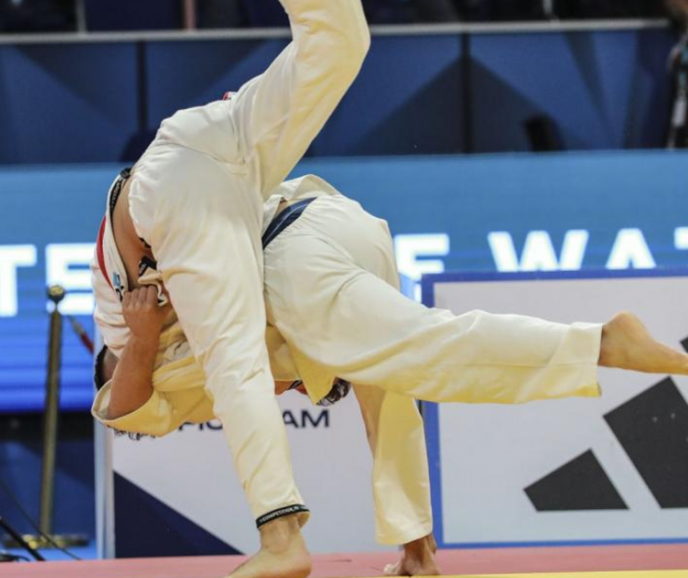 images/puglia/jujitsu/medium/JJ.png