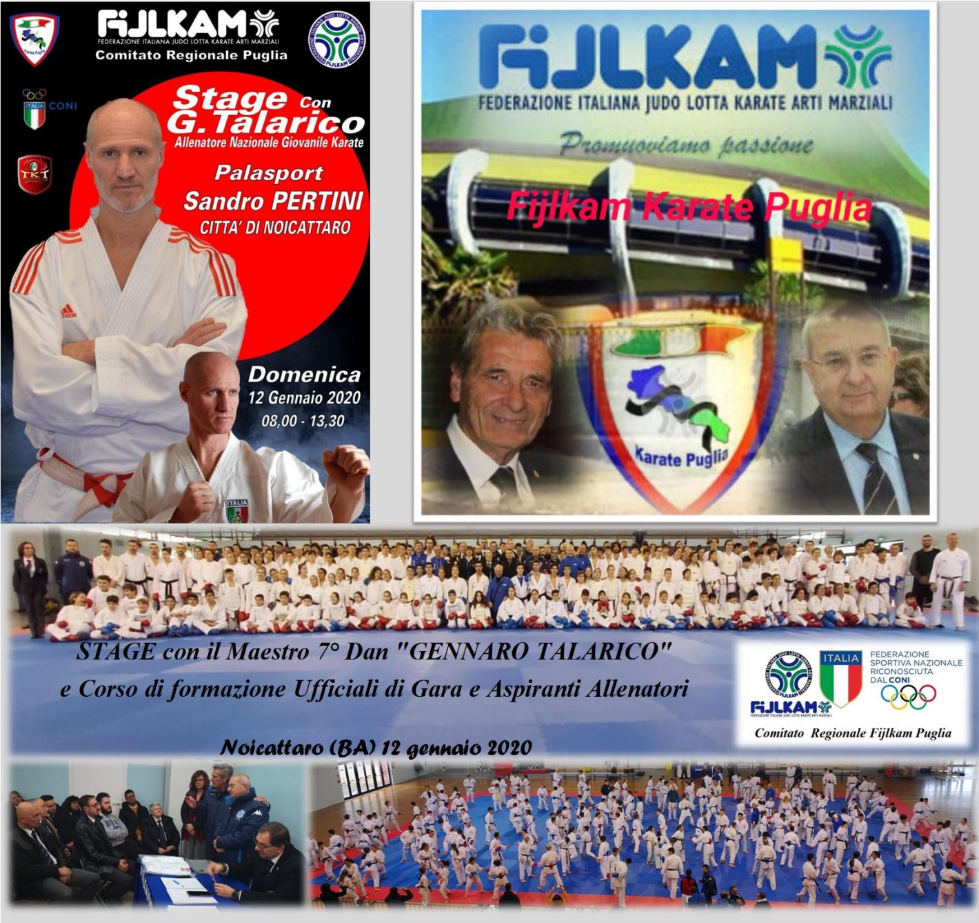 images/puglia/karate/medium/1_-_Foto_elaborata_Stage_con_G._Talarico_12-01-2020.jpg