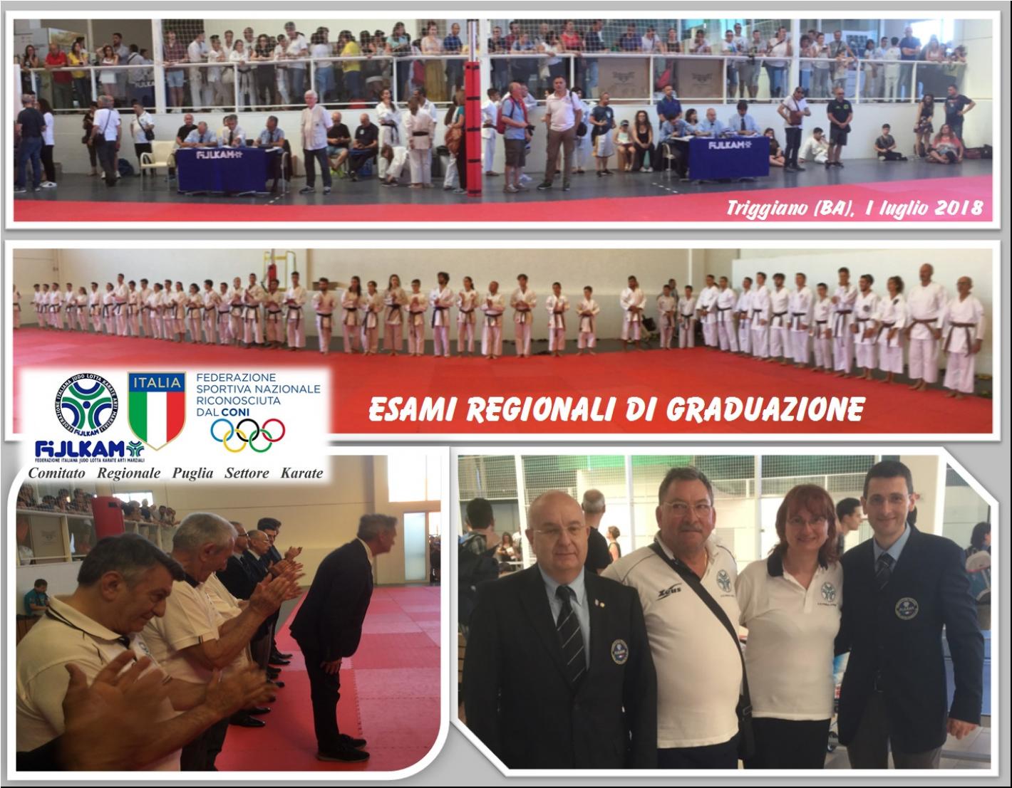 images/puglia/karate/medium/grad18.jpg