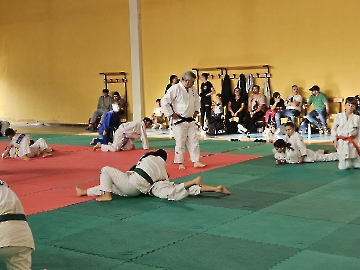 20241026_163339_risultato