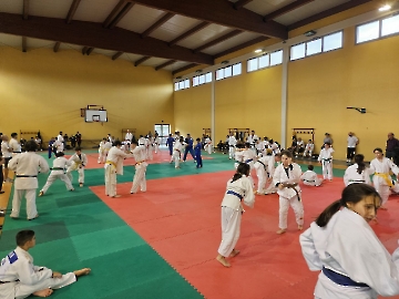 20241026_164940_risultato