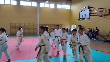 Immagine WhatsApp 2024-10-26 ore 16.10.06_3022768d