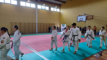 Immagine WhatsApp 2024-10-26 ore 16.10.51_875df56d