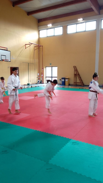 Immagine WhatsApp 2024-10-26 ore 16.11.14_76941866