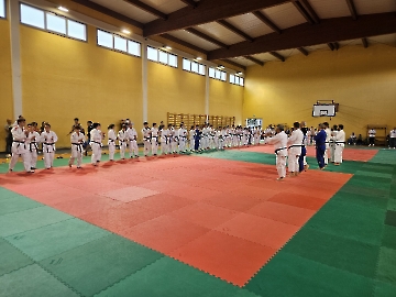 Immagine WhatsApp 2024-10-27 ore 12.01.36_44e7dbc2