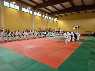 Immagine WhatsApp 2024-10-27 ore 12.01.37_efd96b71