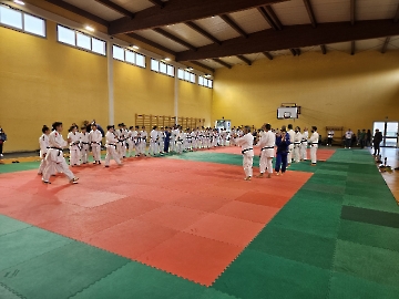 Immagine WhatsApp 2024-10-27 ore 12.01.37_f8ea13f7