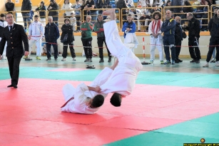 Judo