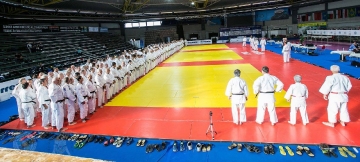 panoramica_tatami_20180129_1901948515